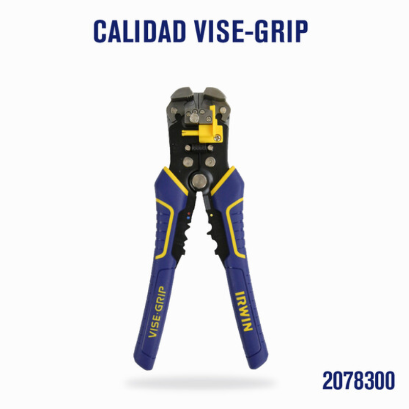 Visualizado: 0